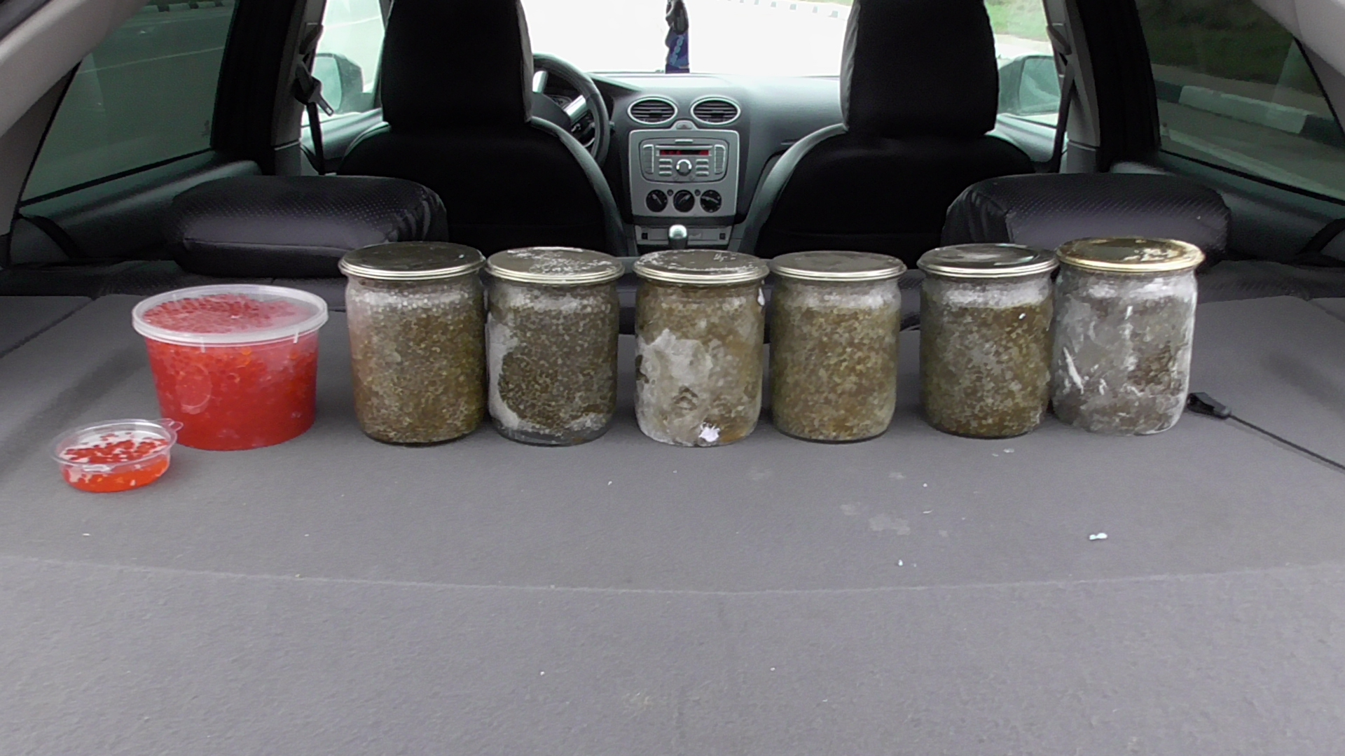 Перевозки икры транспорт. Икра из камчатки. Можно ли везти икру самолетом. Перевозки икры транспорт. Можно ли везти икру самолетом.