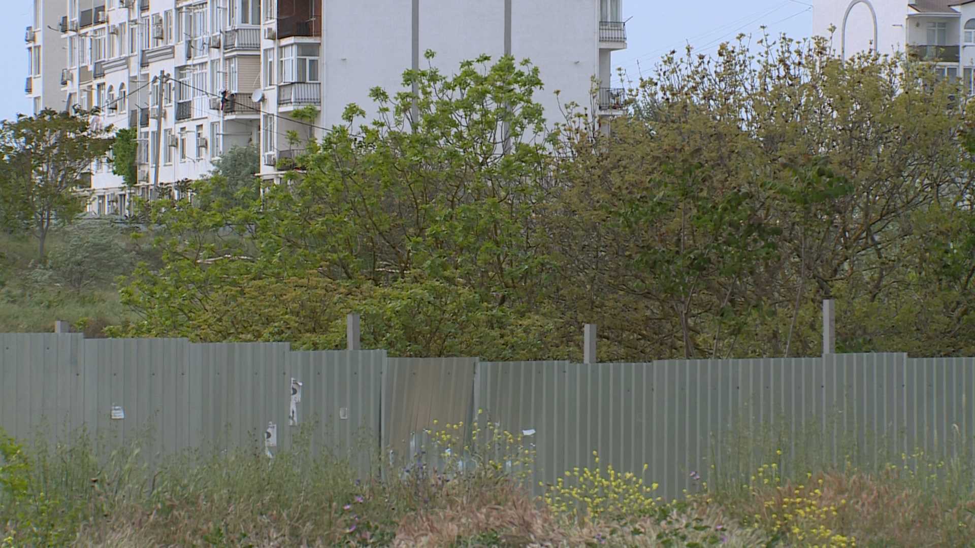 Фисташковая роща в Севастополе