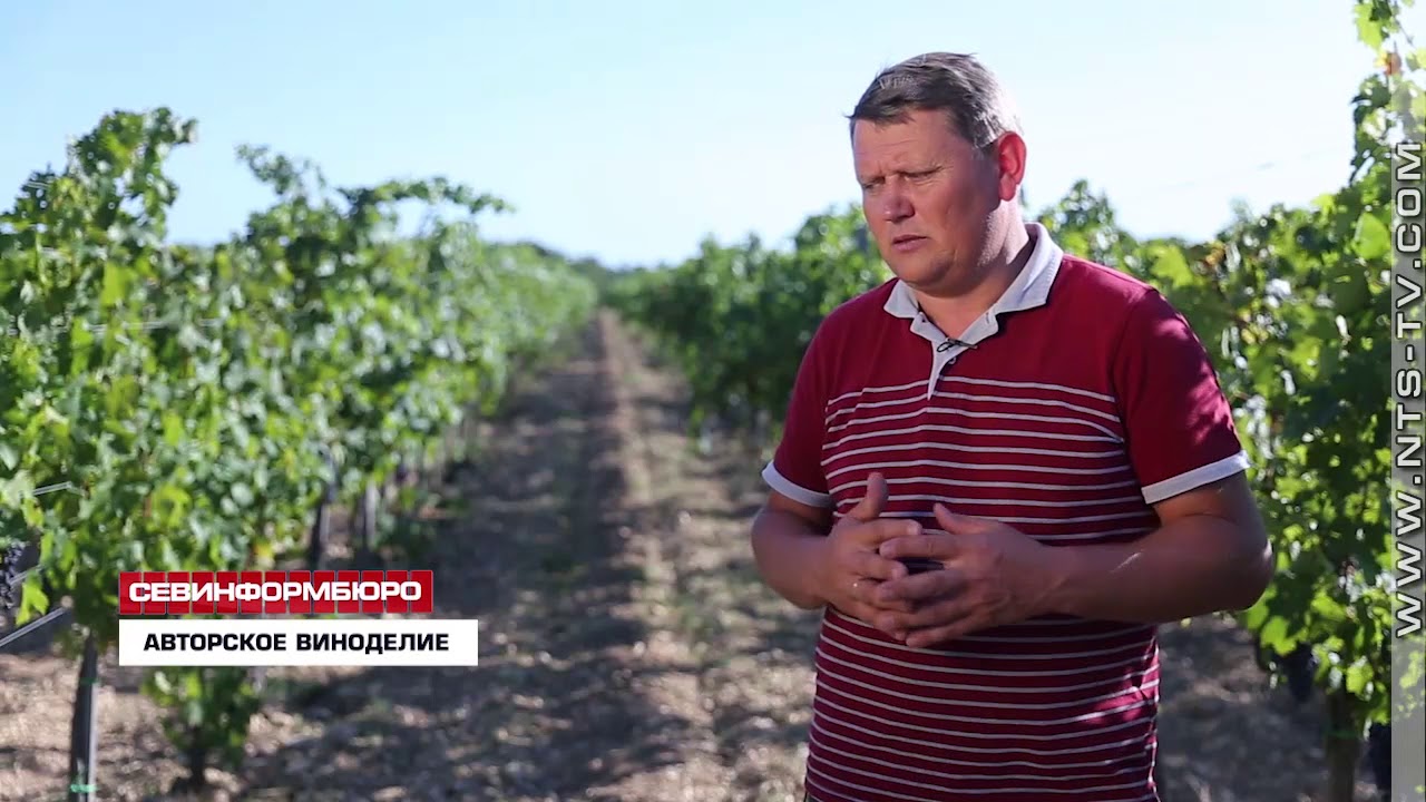 Вино Олега Репина Крым Купить