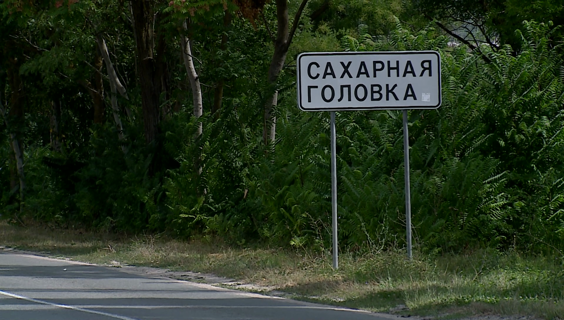 Карта сахарная головка