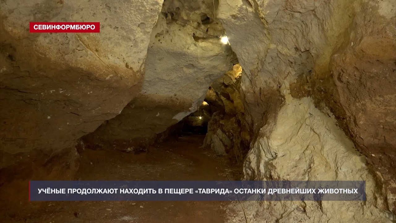 Пещера Таврида Купить Билет