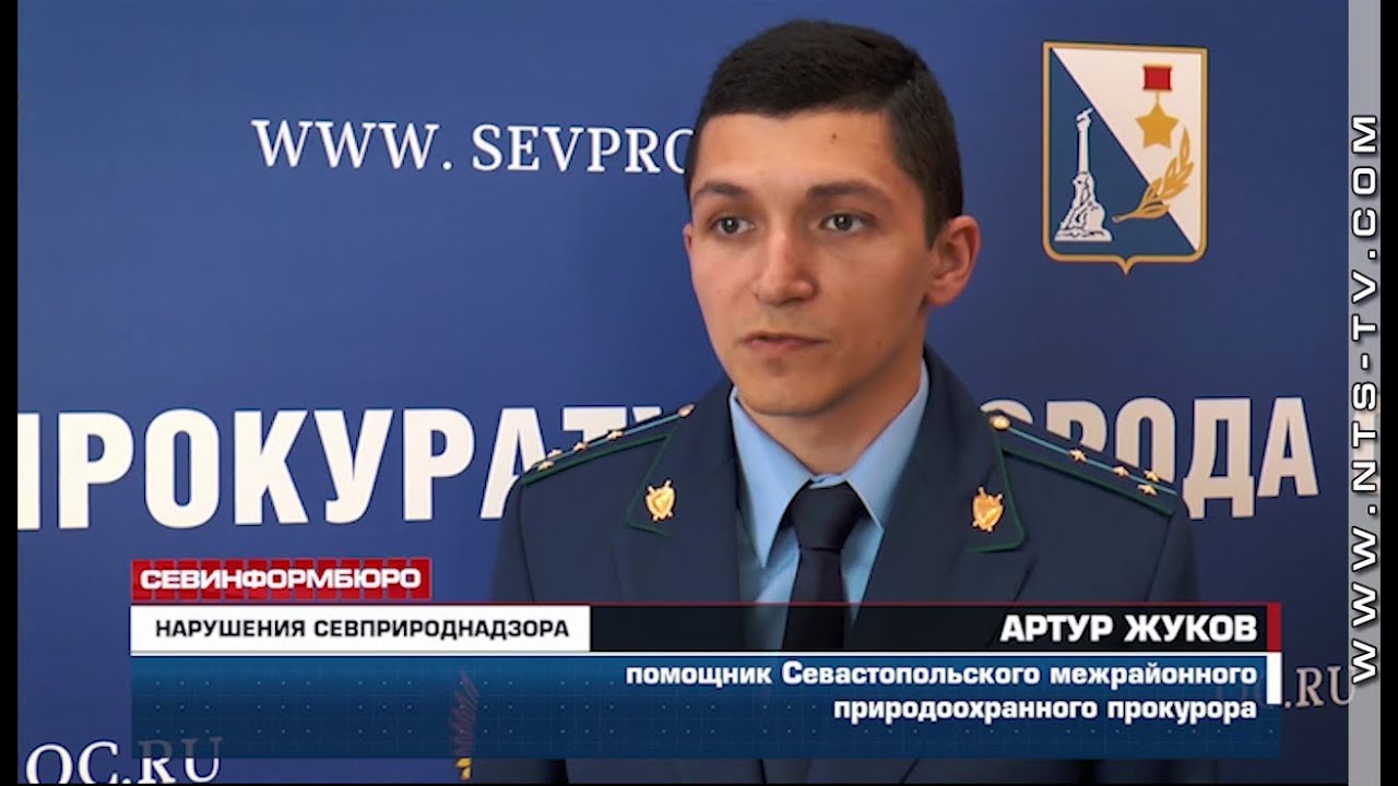 независимых прокурорах. прокуратура надзирает за соблюдением законов. прокуратура прикол. рябошапка прокурор. прокуратура ялты.