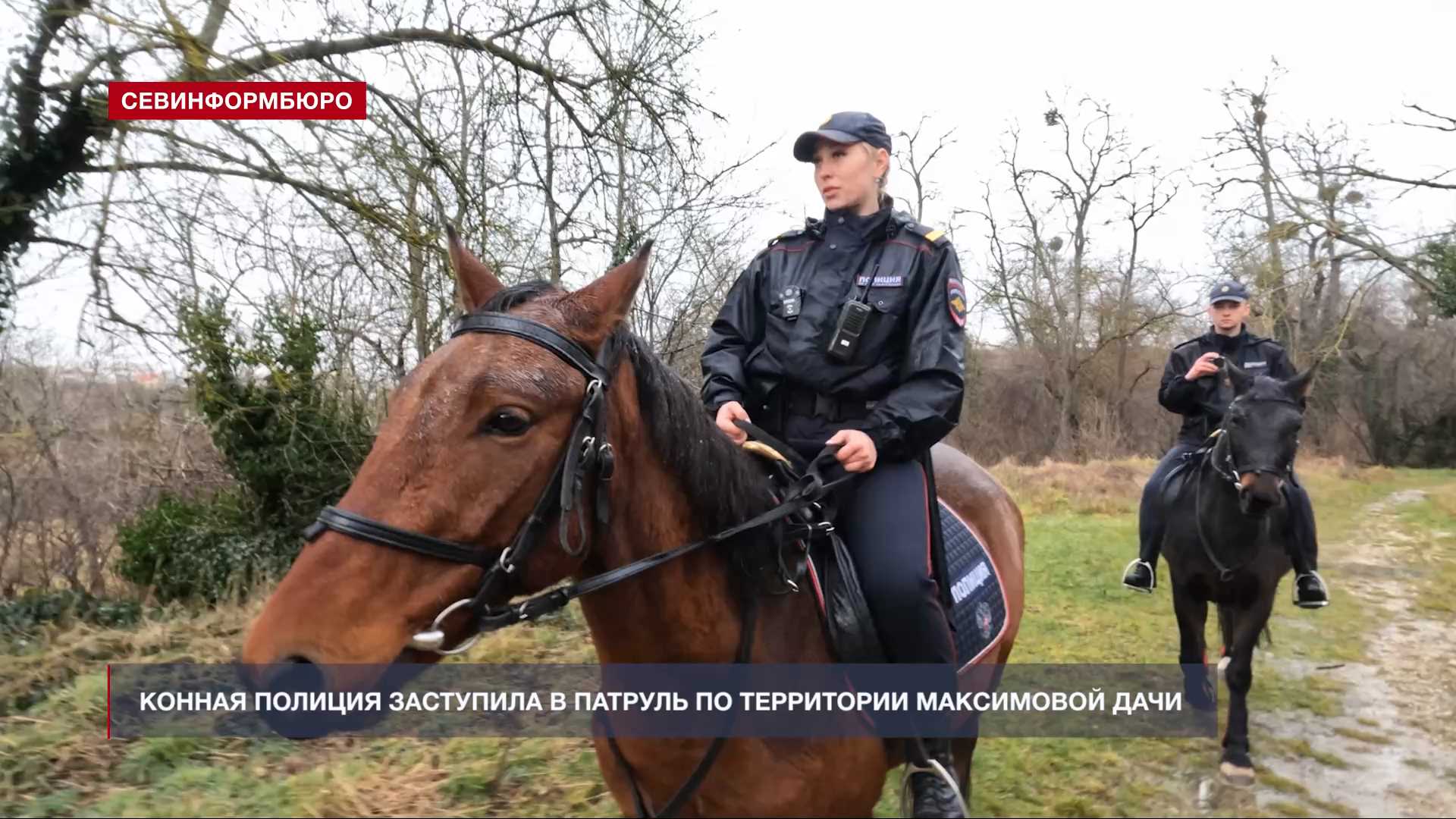 Конная полиция Севастополя патрулирует Максимову дачу – Независимое  телевидение Севастополя - Независимое телевидение Севастополя