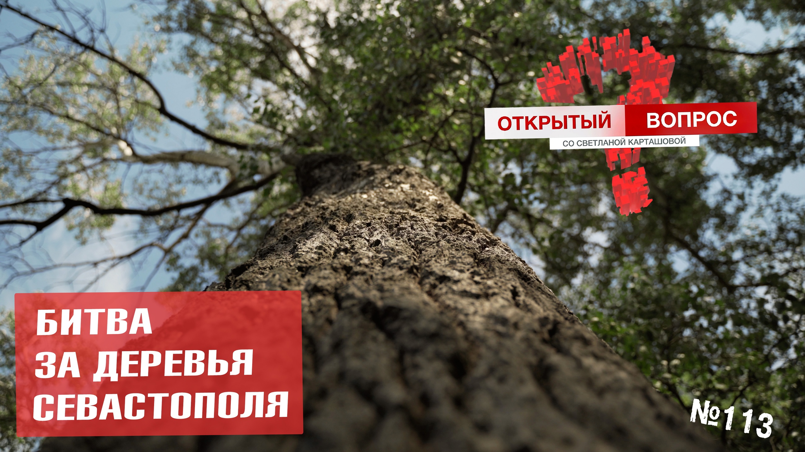 Деревья на Южном берегу Крыма